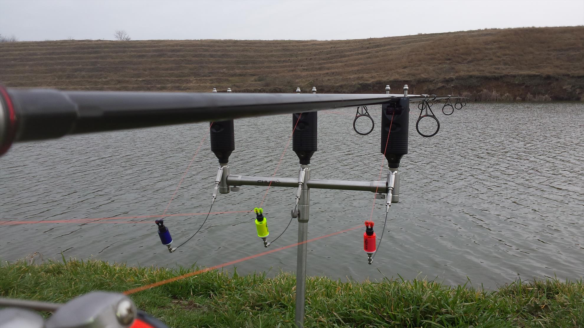 Fundulea 1 21 februarie 2016 - 20160221121501.jpg